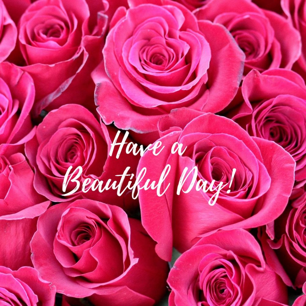 🌹 Have a Bea utiful!!! Day 🌹
